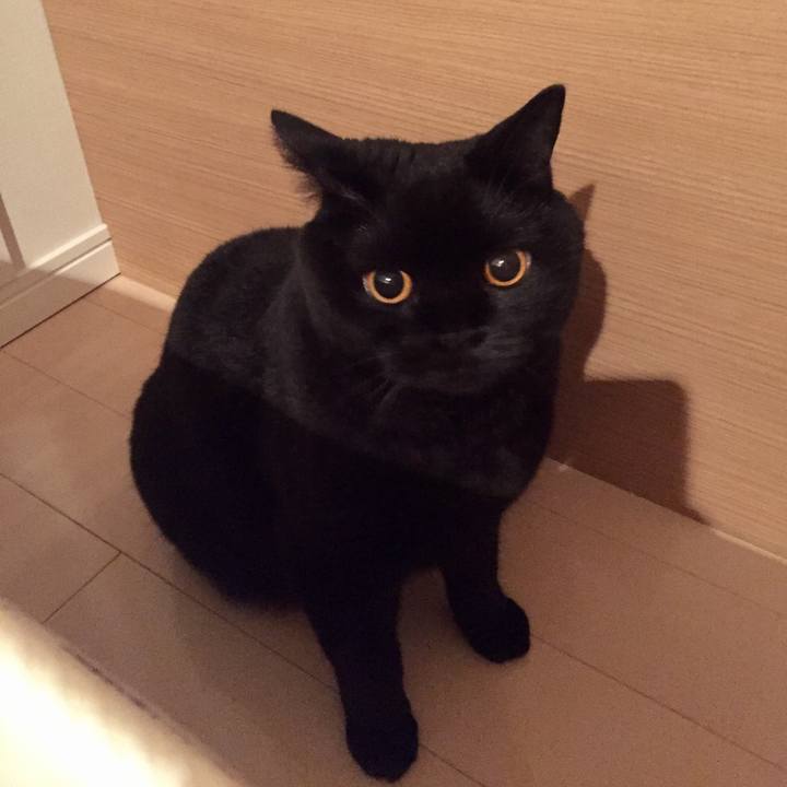 4b69ccb3 a3ba 4958 a760 23e7a6fe0600 1568466014032