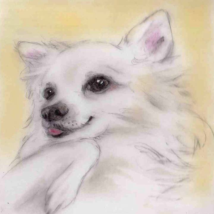 4b69d4b3 1b25 4b4d b8c9 36c8cf745b6c 1643035669172