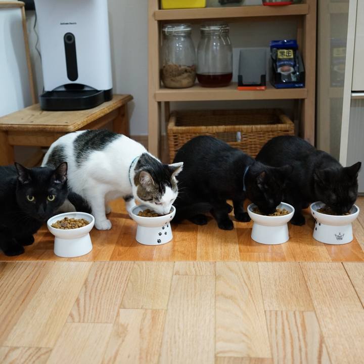 4b69e28a ef57 4d57 b7af 5cb9c45e6d36 1512709094888