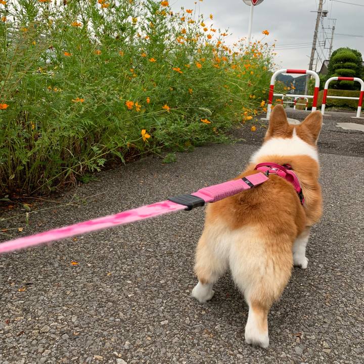 4b69fe6a d464 4d73 b6fe f2982958faa7 1693960747775