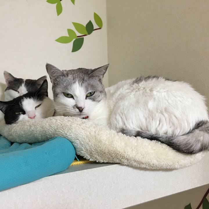 4b6a113b 3e0d 4cb0 a24d a669d91af2c4 1520149593991