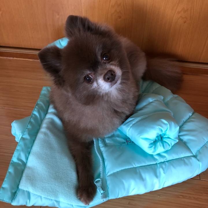 4b6a32db 30ca 4739 b523 a2741b4fa97e 1576300605069