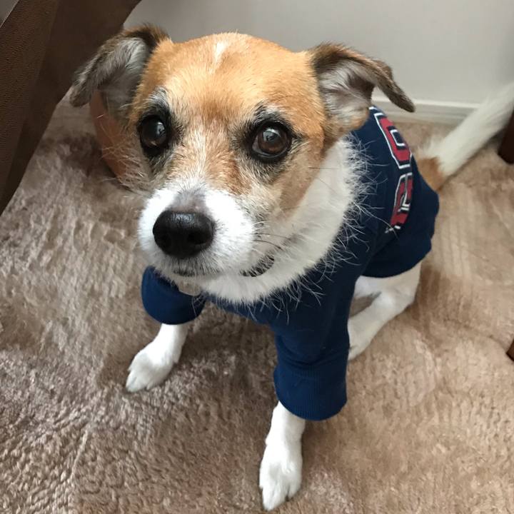 4b6a3a12 852b 4d67 b84d 57c6474231fc 1542020561942