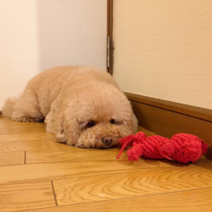 4b6a48a9 e9d9 48c2 88b8 7f0645181b2c 1507973072334