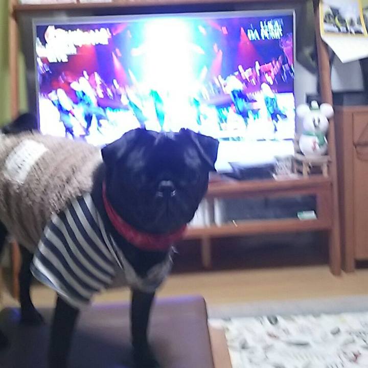 4b6a6101 b4f4 45e0 9af1 191d8852cea8 1546176707743