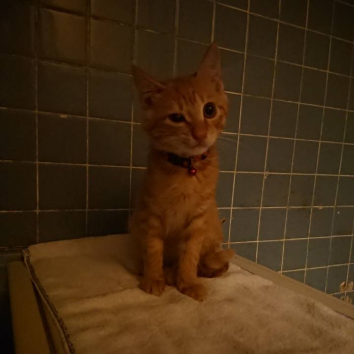 4b6a928e 3ec6 450a b0ea 226a9fb81a2e 1632648683645