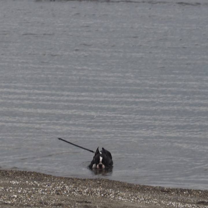 4b6aa36c dbd6 468a 939c c2e4d9fd1d14 1556337788848