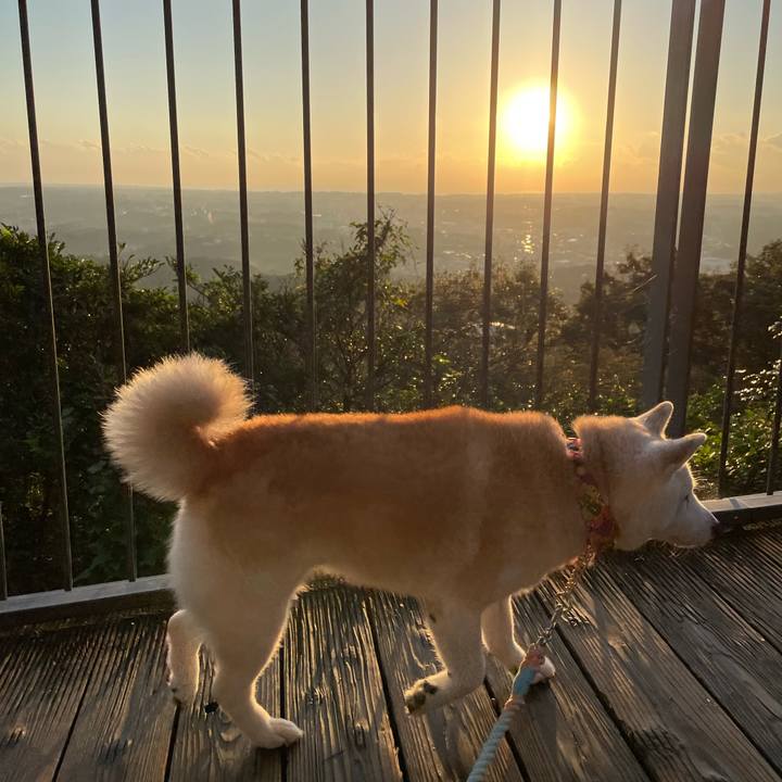 4b6afa4c 1c5a 450e 99e1 26a47deeb0d1 1665881335678