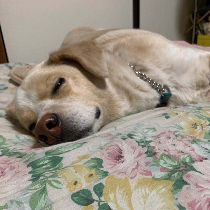 4b6b25f1 e428 4228 90dc 199350b76ea7 1556028920403