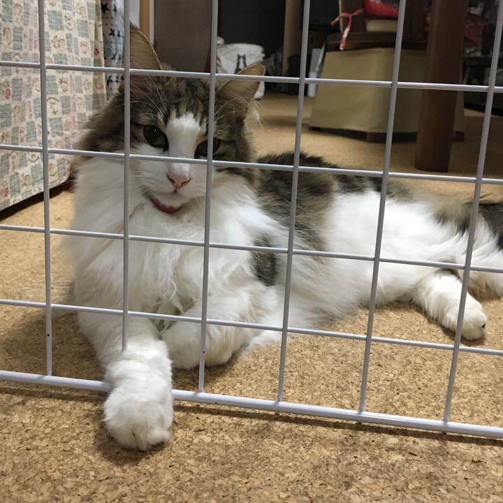 4b6b2d34 22b7 49bc b7ba de150a277d0c 1507721374502