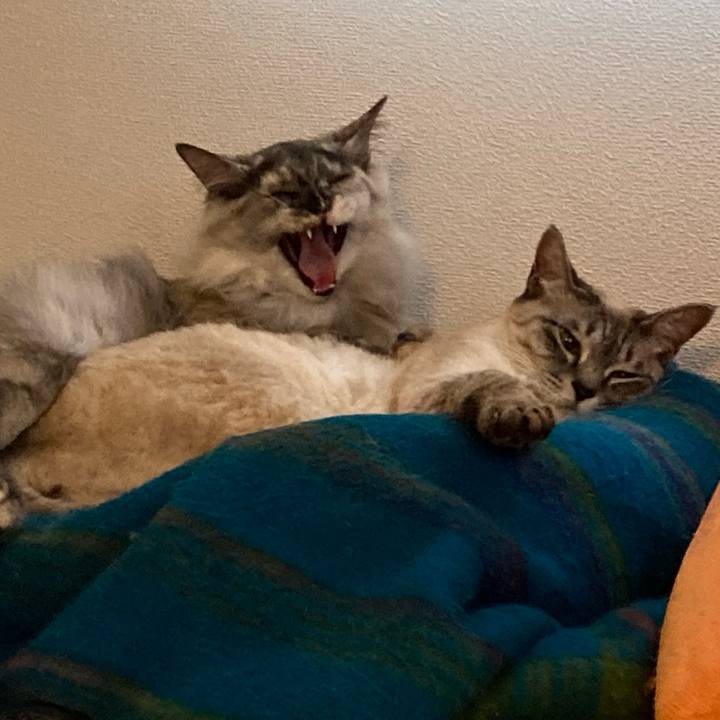 4b6b3b4c 10fb 4f77 b7e1 3cefe5129e60 1711438331257