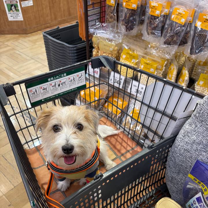 4b6bab94 3cdb 43b8 a820 6e4f7d7260c1 1772858724690