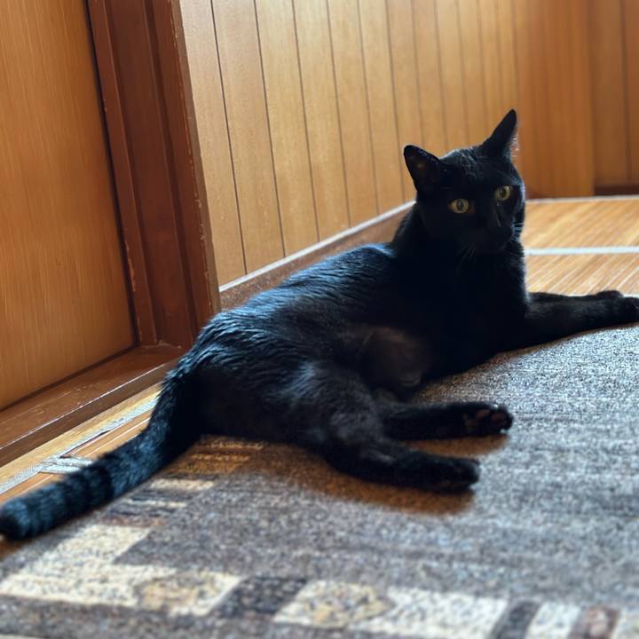 4b6bb792 ff22 47c1 8bb7 a7aad4999532 1691285503523