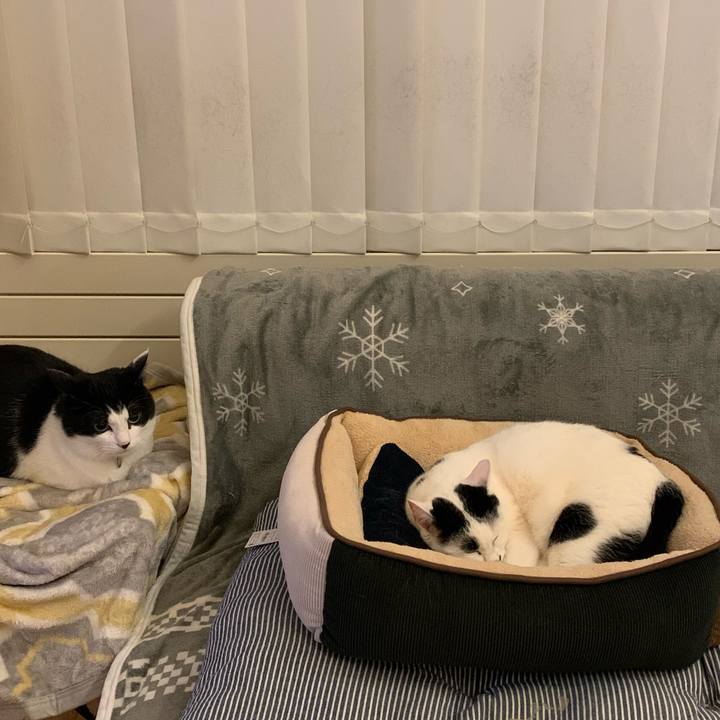 4b6bce6c cb6f 4c7e 9ec0 ac021d6b987a 1676637278227