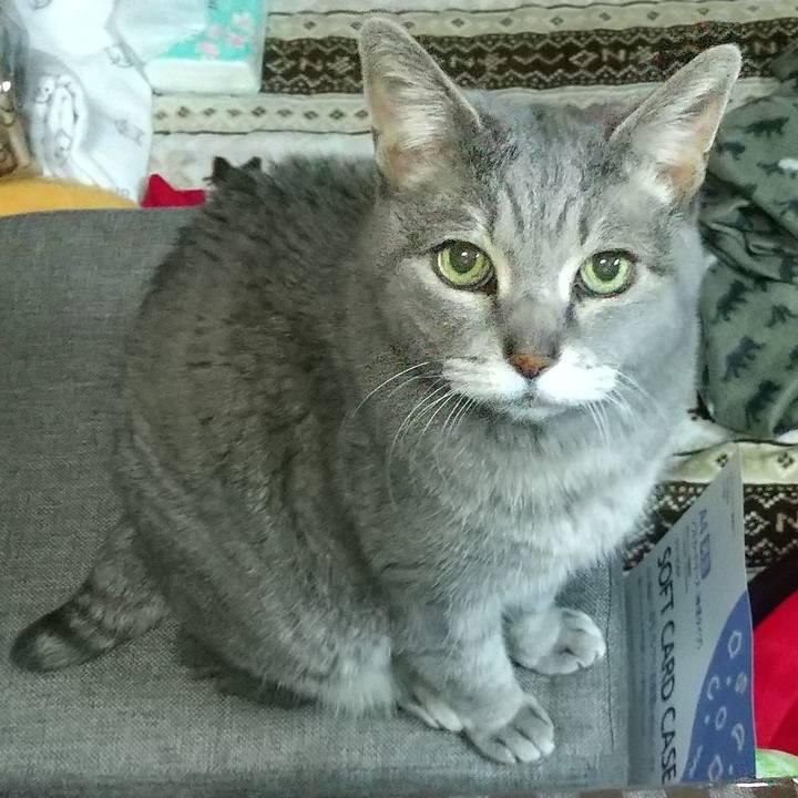 4b6be0d9 7612 4dcb aa6c 3511f121d8bd 1681162532217