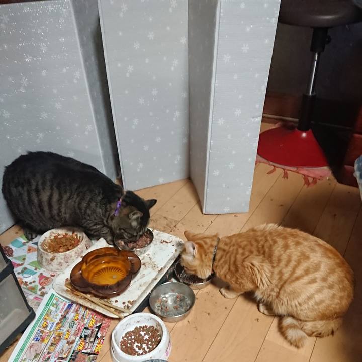 4b6be10c ee06 4940 bd32 5e6f9b7d86a4 1649109439465