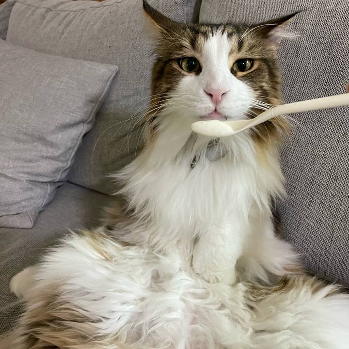 4b6c1481 819c 4bc7 9acb 845969f4cef6 1670015457461