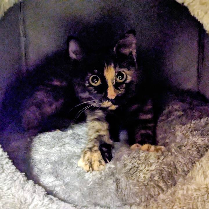 4b6c15b5 0f95 4236 8e58 1765ec356426 1761829913747