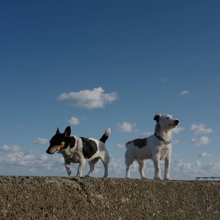 4b6c75d9 2ae8 4998 a180 dca5d48c8beb 1596151160891