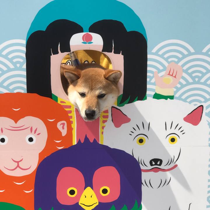 4b6c992f e269 4b06 b53c f54d62242493 1522758750815