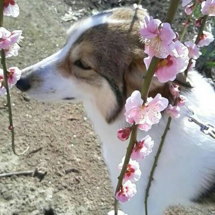 4b6c993c 0f02 4105 99ba 9b978e094fb1 1553224489595