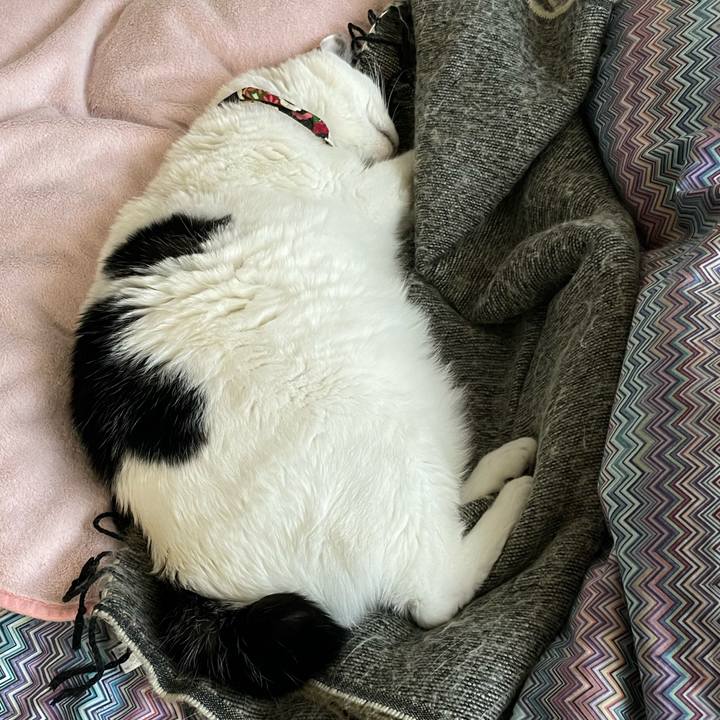 4b6cb622 b8b8 4d66 a982 f2589bf9f0ff 1643340853557