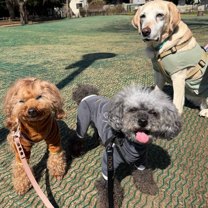 4b6cc4dd 4946 4208 8073 124803b1b78e 1773271754099