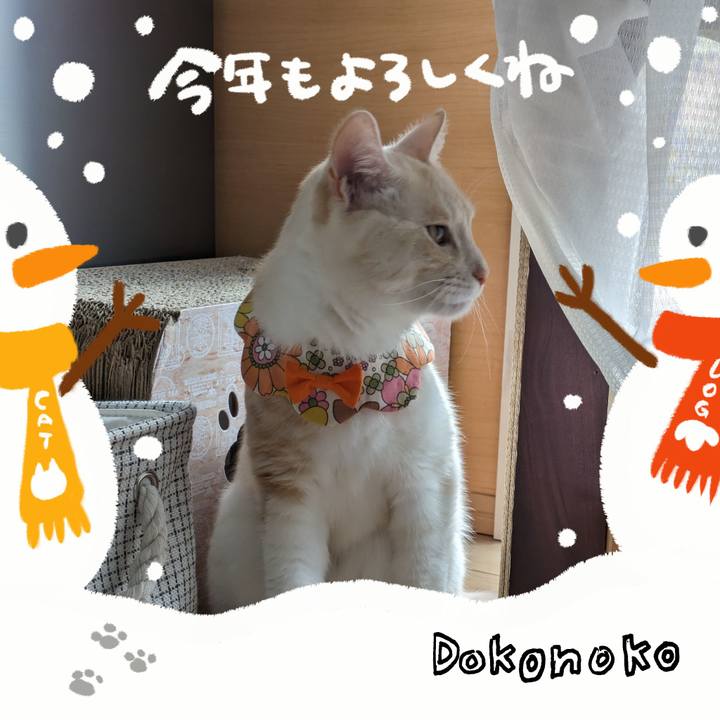 4b6d0ce0 c7e4 43c4 a8b9 a6a642aa33f8 1704085160533