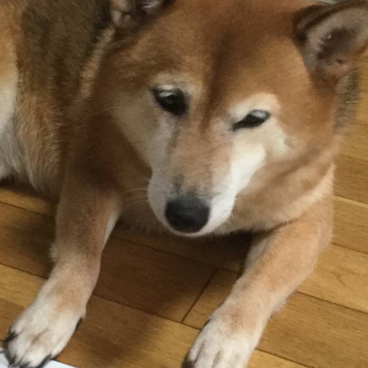 4b6d142c ffd5 48d0 bc5e 5e5fd3c6813c 1600084859988