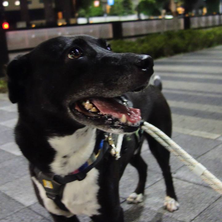 4b6d4e4b 79ce 4cc6 8083 701c64abb476 1665398626274