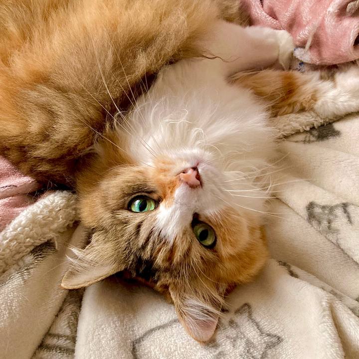 4b6d5b7d 7ad0 4e0b b77a 79bef8b2f5b2 1717220655354