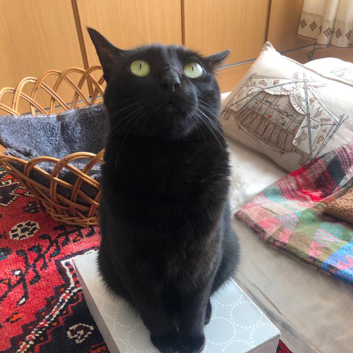 4b6d702b 622d 44d1 8f3e 76df52e56632 1582495844476