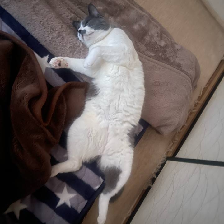 4b6dc0a7 e3d4 48ea bfe4 c66c3348f234 1718490899260