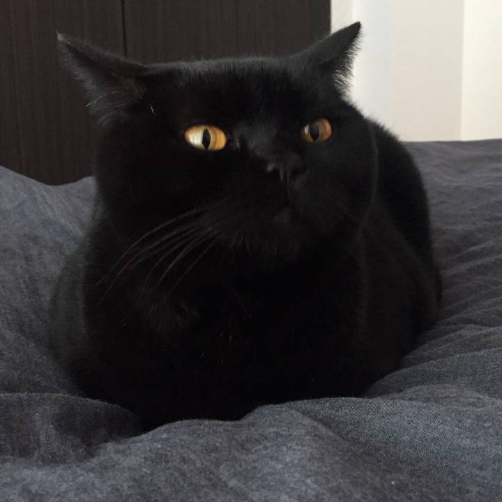 4b6e2f2e 9625 4040 989b a704a7ea44ed 1542496794454