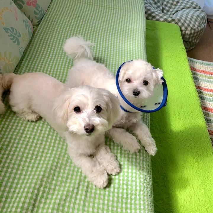 4b6e4930 9ee5 4aa1 bfae 36a8acbbe447 1528522601457