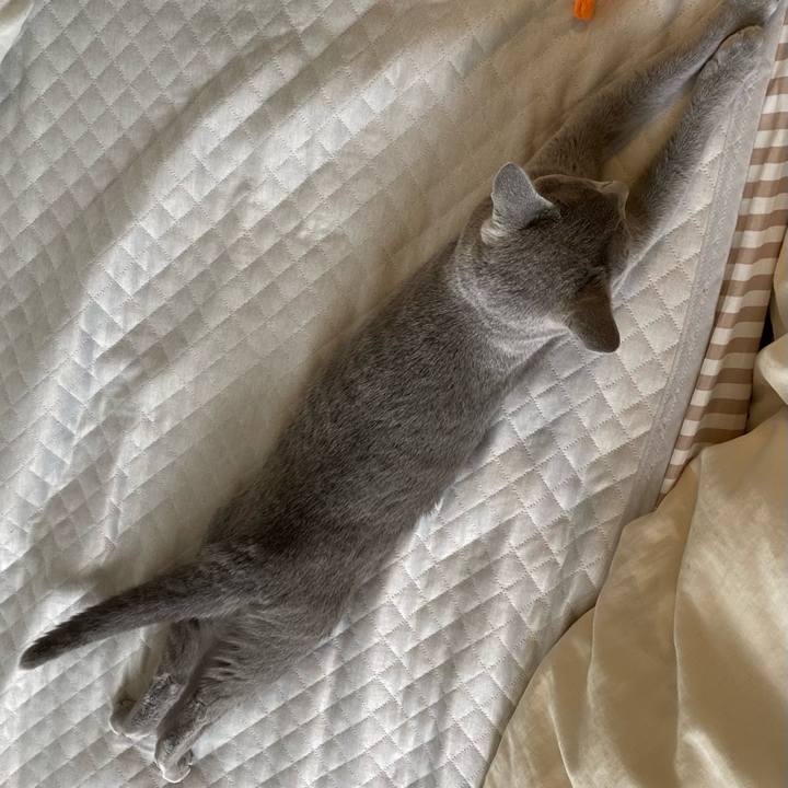 4b6ea863 4033 47eb b4db 00393bd4d649 1629760924506