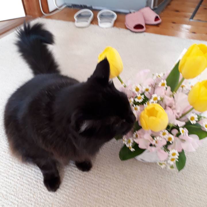 4b6ecc0a 0478 4b52 b794 9f1838dc5568 1517289568447