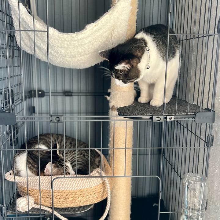 4b6ed7a9 a02d 4e57 86c3 60ad41e0e229 1762778709894