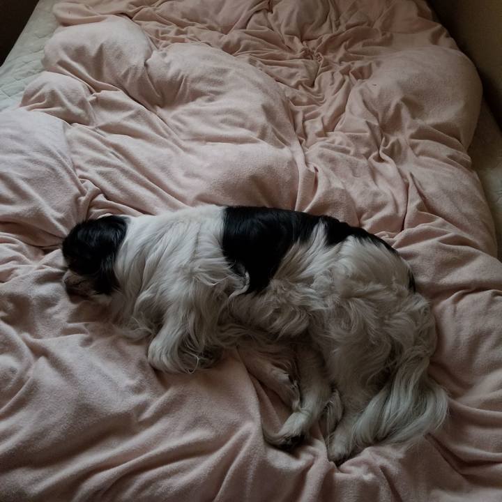 4b6efacd 34c2 4e68 ad59 0a5b487bad15 1523878056250