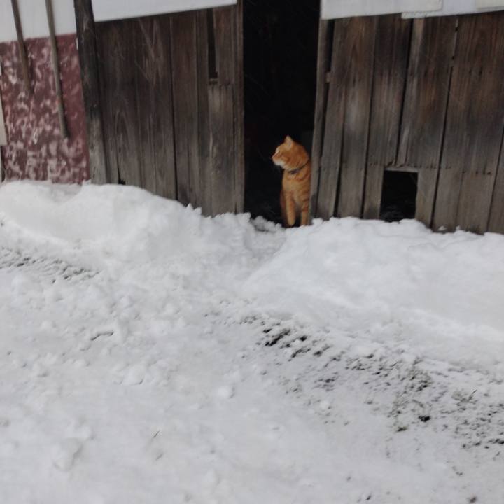 4b6efdbf 95a4 4fb9 ba55 270f7fec7f01 1674720401198