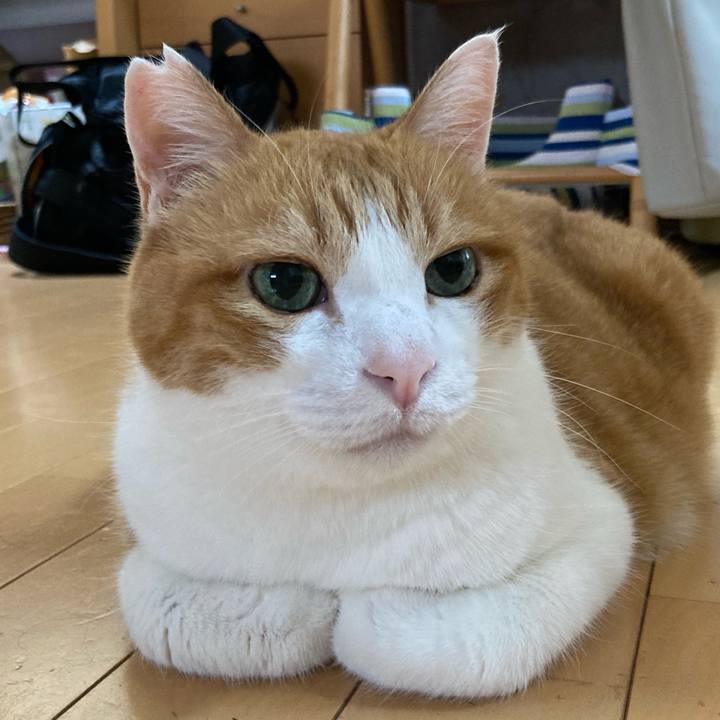 4b6f28f0 9068 4e47 9de5 1a154219c322 1761015056906