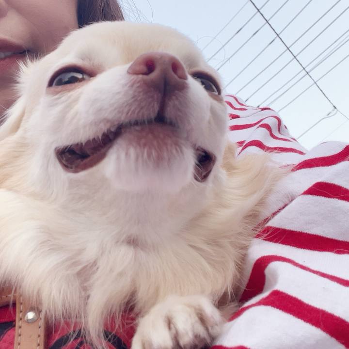 4b6f592b 40dd 452b 8d20 9c91ffa37b02 1742891751600