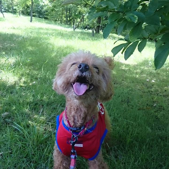 4b6f7463 c35d 4950 ba5d 5b0bd25e2448 1531098623145