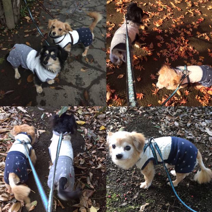 4b6f8696 515e 4eb4 b2d9 1c8686ab6097 1575248012887