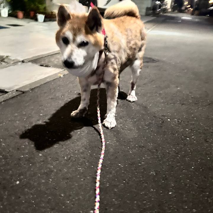 4b6f9730 16ca 40e3 86e8 b0d4e04aff00 1763805978375