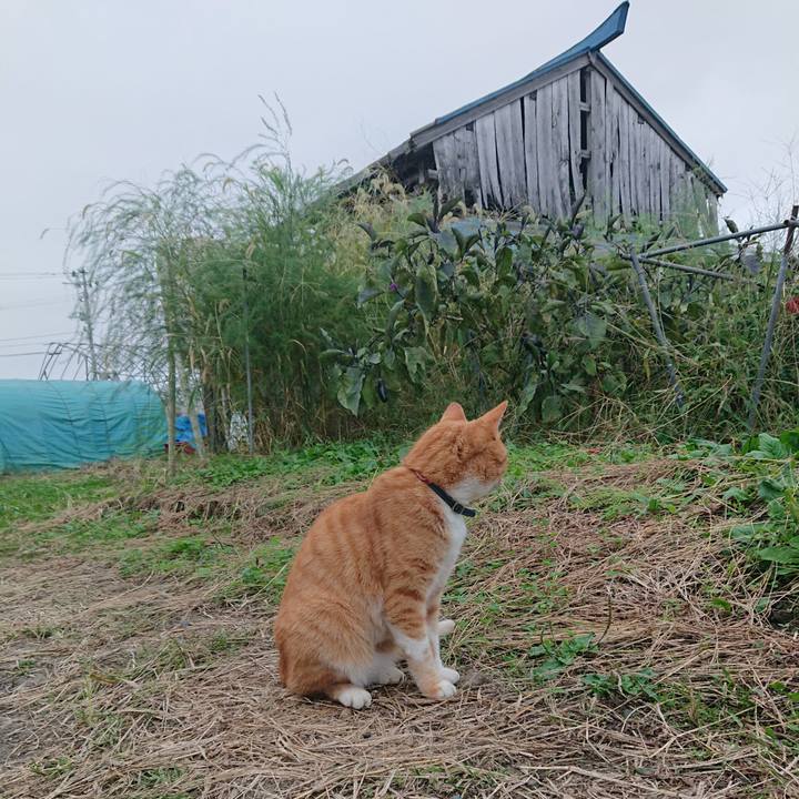 4b6f9f3c 72f3 484f 990a 2baecfd17af7 1602401249593