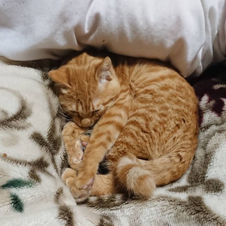 4b6fd11c 2635 45d0 9ff1 2ef75f5614ff 1638880541705