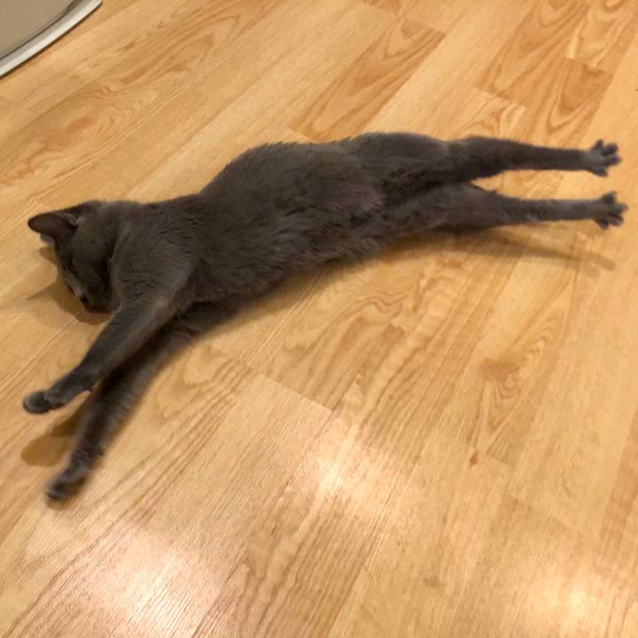 4b6fd231 33e4 4797 84cd 1223837bb685 1583102186870