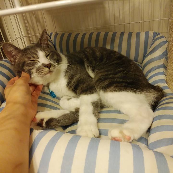 4b6fe25c 94cd 43d9 9a93 098378df2839 1586272115162