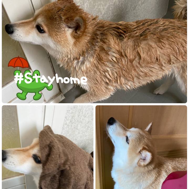 4b6ffc08 9ba6 40d2 a8b9 92a9d1034ba1 1586654502080